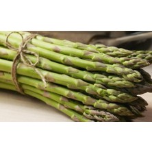 MMT 100 Adet Kuşkonmaz (Asparagus) Tohumu