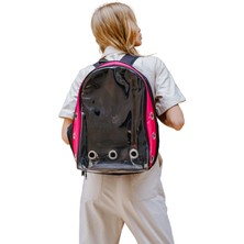 Evene Kedi Taşıma Çantası Kırılmaz Büyük Boy Uçak Için Uygun + Kedi Göğüs Boyun Tasması   Kedi Oyuncağı