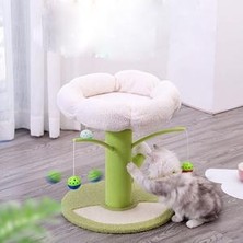 Xinhang Kedi Scratcher Sevimli Karnabahar Pet Kedi Ağacı Oyuncaklar Topu Tırlanma Sonrası Tırmanma Kınamak Oyuncak Koruyan Mobilya | Mobilya ve çizikler (Yurt Dışından)