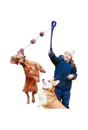 Xinhang Top Fırlatma Cihazı Köpek Atma Top Oyuncak Köpek Yavrusu Açık Hava (Mavi Göl) (Yurt Dışından)