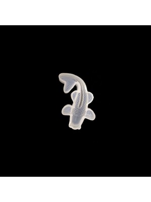 Hobizubi/Balık Epoksi Silikon Kalıbi -Kod:255