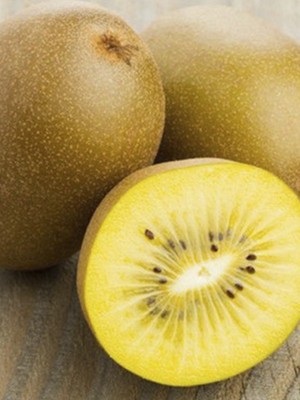 Rüzgar Botanik Ilk Altın Kivi Fidanı 150-200 cm