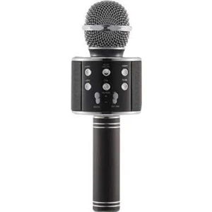 Karaoke Mikrofon