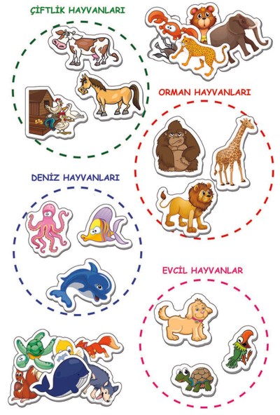 Diytoy Manyetik Hayvanlar
