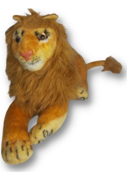 Taha Aslan Peluş