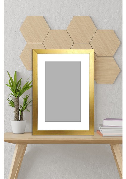 Resim Çerçevesi Avrupa Fonlu Derinlik Görünümlü Çerçeve Tekli Boş Çerçeve 13X18 ÖZC-AVRFONLU02