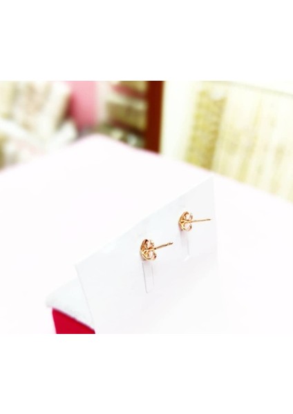 Rose Küpe fiyatları