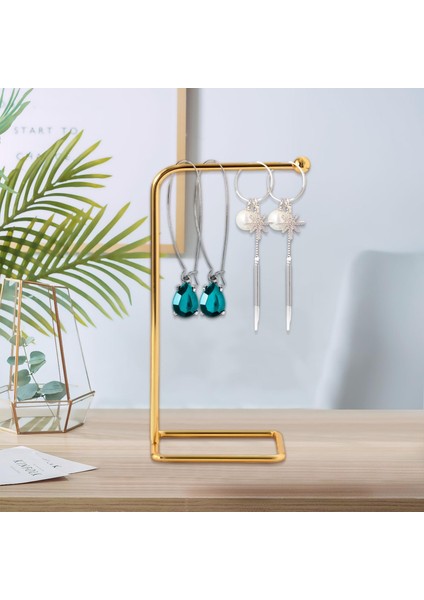 Asılı Takı Rafı Minimalist Metal Vitrin Gösterisi Şekil M (Yurt Dışından)