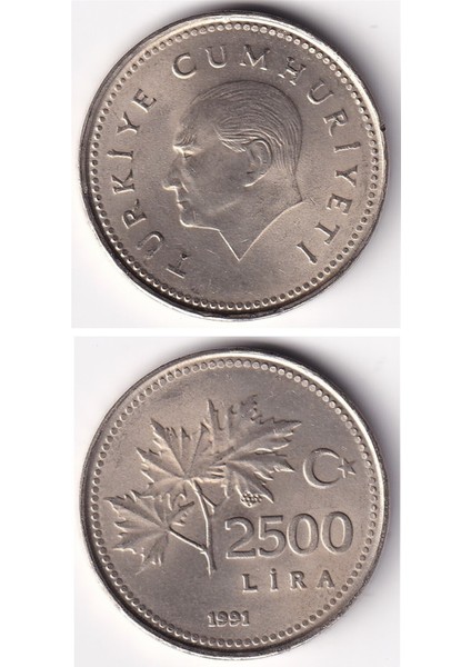 2.500 Lira (1991) Çil Eski Madeni Para