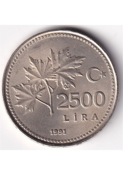 2.500 Lira (1991) Çil Eski Madeni Para modelleri