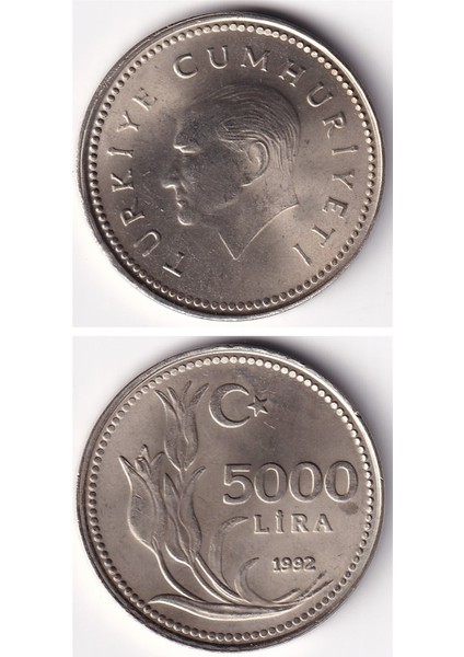 5.000 Lira (1992) Çil Eski Madeni Para