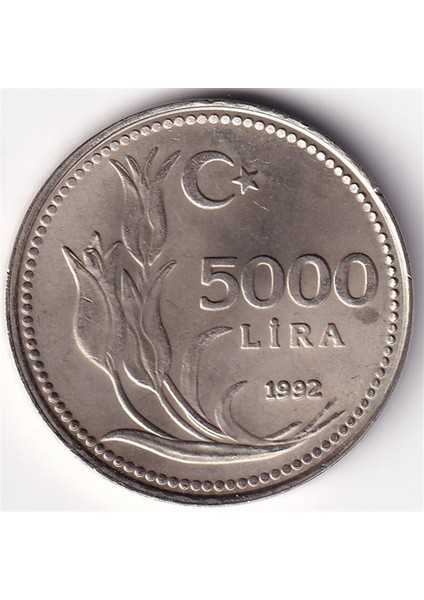 5.000 Lira (1992) Çil Eski Madeni Para modelleri