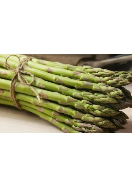 100 Adet Kuşkonmaz (Asparagus) Tohumu