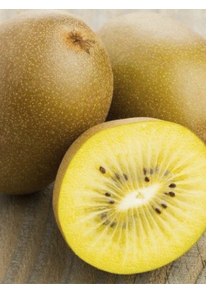 Ilk Altın Kivi Fidanı 150-200 cm