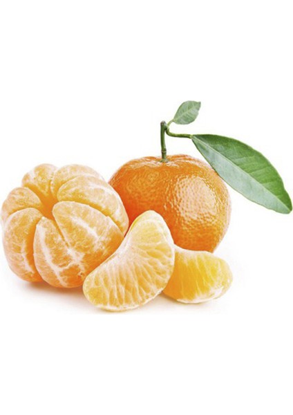 Murcot Mandalin 150 cm 200 cm