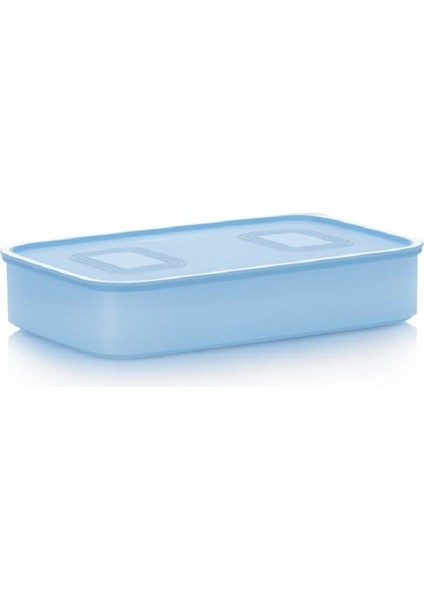 Su Hayvanlar 1.1 Lt Sıkı Kapaklı Saklama Kabı Hsgl