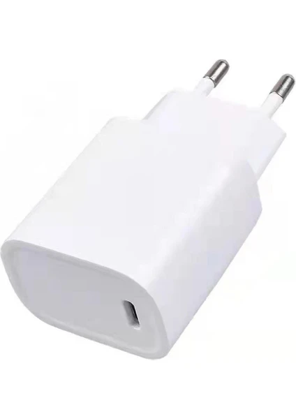 YX-202U 20W Pd Usb-C Hızlı Şarj Aleti DCA1001