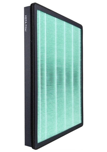 Coway AP-1009 Için 1008 Hava Arıtma Yedek Hepa + Karbon Fiber Filtre Elemanı(Yurt Dışından)