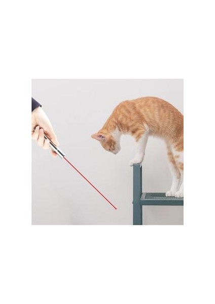 LED Pointer Kedi Lazer Chaser Toys USB Şarj Edilebilir Çoklu Patter (Yurt Dışından)