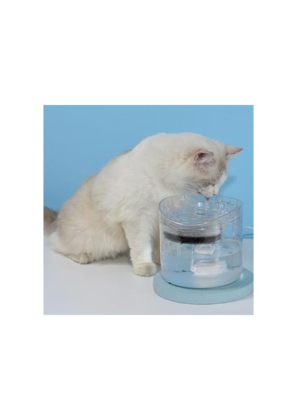 Otomatik Kedi Su Çeşmesi Musluk Köpek Su Dağıtıcı Kediler Için Şeffaf Içeriler Pet Içme Kase | Köpek Besleme (Yurt Dışından) fırsatları