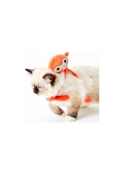 Pet Oyuncaklar Kedi Oyuncak Kedi Malzemeleri Kedi Oyuncak Kendini Merhaba Catnip Komik Kedi Isırık Dayanıklı | Kedi Oyuncakları (Maymun) (Yurt Dışından)