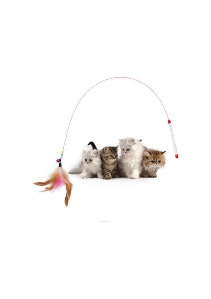 Sıcak 10 Adet Pet Kedi Oyuncak Sevimli Tasarım Çelik Tel Tüy Teaser Değnek Plastik Oyuncak Kediler Için Renk Çoklu Ürünler Pet Ürün | Kedi Oyuncakları (Rastgele Renk) (Yurt Dışından)