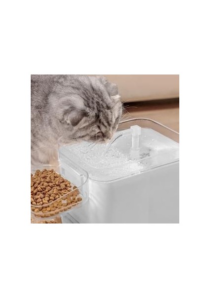Otomatik Kedi Köpek Su Çeşmesi Akıllı Pet Içme Kase ile Kızılötesi Hareket Sensörü ile Pet Su Dağıtıcı Besleyici ile Aydınlatma | Kedi Besleme ve sulama Malzemeleri (Beyaz) (Yurt Dışından)