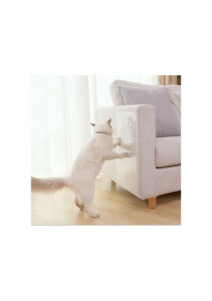2 Pc Cat Anti Scratch Oyuncaklar Kanepe / Kapı / Zemin Çizik Önleme Koruması Tekrar Tekrar Kullanılabilir Çizik Oyuncaklar Kullanılabilir (50 * 15 Cm) (Yurt Dışından)