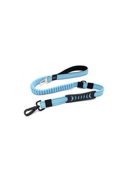 Çok Fonksiyonlu Ağır Bungee Köpek Tasma Yansıtıcı Şok Emici Eğitim Tasma 2 Trafik Kolu Köpek Araba Emniyet Kemeri | Tasmalar (Yurt Dışından)