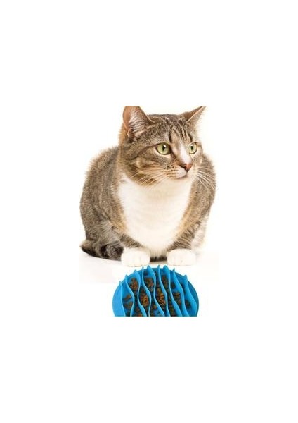 Silikon Köpek Yavaş Besleyici Mat Kedi Komik Besleme Yalama Mat Pet Tedavi Dağıtıcı Ped Banyo Distraction Kolay Bakım Dalga Yay | Köpek Besleme (Yurt Dışından) modelleri