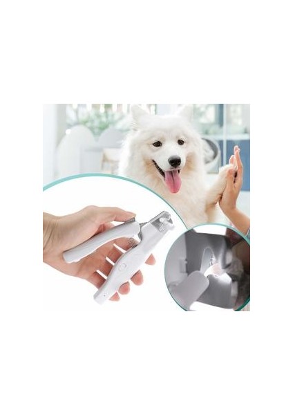 Tımar Seti Aracı Pet Tırnak Kesme Köpek Pençe Makas Tırnak Giyotin Kediler Tırnak Dosya Giyotin Değirmeni Pet Malzemeleri Kediler Için Hayvan | Köpek Tırnak Makası (Beyaz) (Yurt Dışından) fırsatları