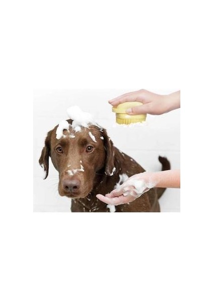 Köpek Kedi Banyo Fırçası, Pet Bakım Şampuan ile Masaj Fırçası (Pembe) (Yurt Dışından) fiyatları