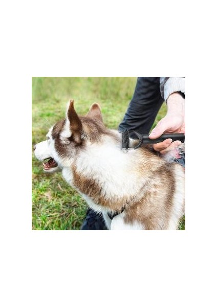 Kedi Köpek Fırçası, Hayvan Saç Fırçası Kiti 3 1 Profesyonel (Fırça Köpek Uzun Saçlar Bakım, Rake Çözünür, Kedi Tarak Saç Kısa) Kendi Kendini Temizleme Fırça Kidna (Yurt Dışından) fırsatları