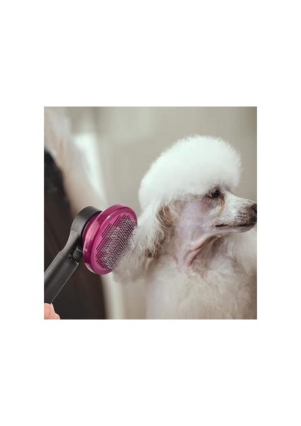 Kedi Köpek Fırçası, Hayvan Saç Fırçası Kiti 3 1 Profesyonel (Fırça Köpek Uzun Saçlar Bakım, Rake Çözünür, Kedi Tarak Saç Kısa) Kendi Kendini Temizleme Fırça Kidna (Yurt Dışından) indirimleri
