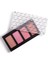 Freedom System Radiant Skin Face Blush 4