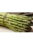 100 Adet Kuşkonmaz (Asparagus) Tohumu 1