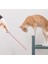 LED Pointer Kedi Lazer Chaser Toys USB Şarj Edilebilir Çoklu Patter (Yurt Dışından) 3