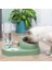 Kedi Otomatik Besleyiciler Su Dağıtıcı Kedi Köpek Içme Kase Köpekler Besleyici Pet Ürünleri Köpek Kaseler Pet Tahıl Dispenseri | Kedi Besleme ve sulama Malzemeleri (Yeşil) (Yurt Dışından) 2