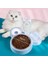 Pet Kedi Kase Otomatik Besleyici Köpek Kedi Gıda Kase Su Çeşmesi ile Çift Kase Içme Kediler Için Yükseltilmiş Standı Çanak Kaseleri | Kedi Besleme ve sulama Malzemeleri (Yurt Dışından) 5