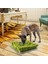 Köpekler Snuffle Mat Köpek Yavrusu Kedi Pet Koklama Eğitim Yumuşak Pet Burun Pad Köpek Yavrusu Etkinlik Eğitim Battaniye Besleme Mat Pet Puzzle Oyuncak | (Yurt Dışından) 3