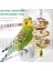 9 Adet / Takım Kuş Papağan Salıncak Oyuncaklar Çiğneme Ayakta Asılı Levrek Hamak Tırmanma Merdiveni Kuş Kafesi Için Budgerigar Parakeet Conure | Kuş Oyuncakları (Yurt Dışından) 5