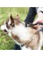 Kedi Köpek Fırçası, Hayvan Saç Fırçası Kiti 3 1 Profesyonel (Fırça Köpek Uzun Saçlar Bakım, Rake Çözünür, Kedi Tarak Saç Kısa) Kendi Kendini Temizleme Fırça Kidna (Yurt Dışından) 4