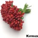  Renk Kırmızı