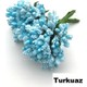  Renk Turkuaz