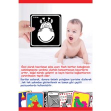 Diytoy Bebeğimin İlk Zeka Kartları (Flash Kart)