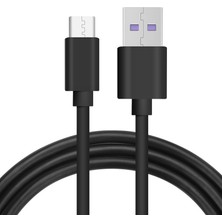 Native Audio 2 Metre Type-C 3 Amper Hızlı Şarj ve Data Kablosu