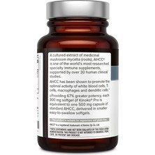 Dietary Supplement Premium Kinoko Ahcc 60 Tablet Soft Geil -