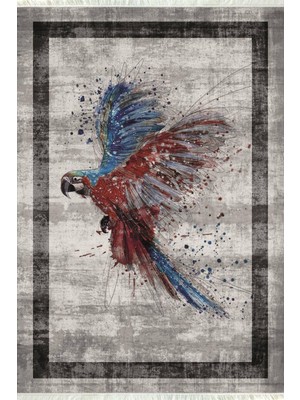 Napoli Home Dijital Baskılı Yıkanabilir Kaymaz Tabanlı Şık Salon Halısı ve Yolluk NH-HY-1116