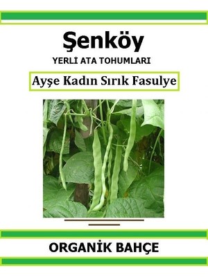 Şenköy Yerli Sırık Ayşe Kadın Fasulye Tohumu Doğal Ata Tohum Pakette 20 Tohum + Hediye Sebze Tohumu