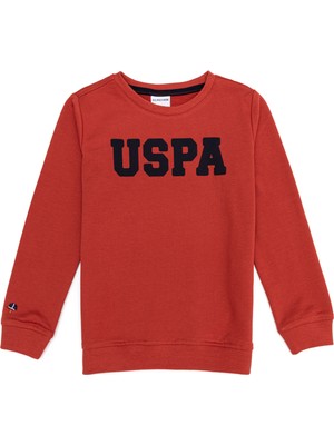 U.S. Polo Assn. Erkek Çocuk Sweatshirt 50236951-VR191